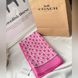 coach Teddy Bear Print Bandana  cdg74